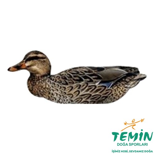 TEMİN | Av ● Outdoor ● Atış | PCP, Havalı Tüfek, Tabanca & Optik