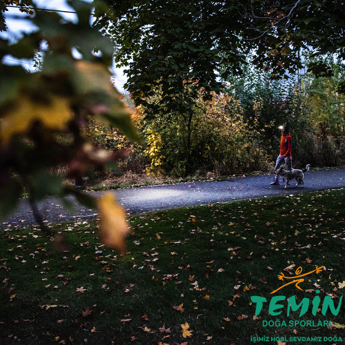 TEMİN | Av ● Outdoor ● Atış | PCP, Havalı Tüfek, Tabanca & Optik