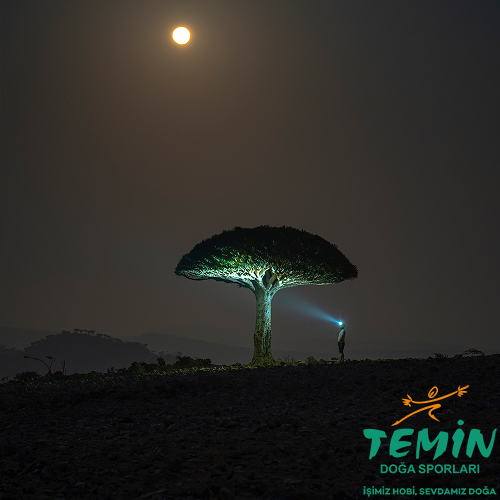 TEMİN | Av ● Outdoor ● Atış | PCP, Havalı Tüfek, Tabanca & Optik