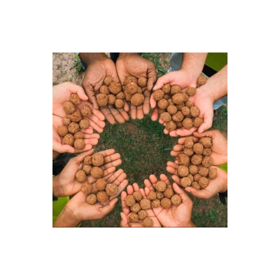 Tohum Topu Atışları İle Doğaya Dokunun