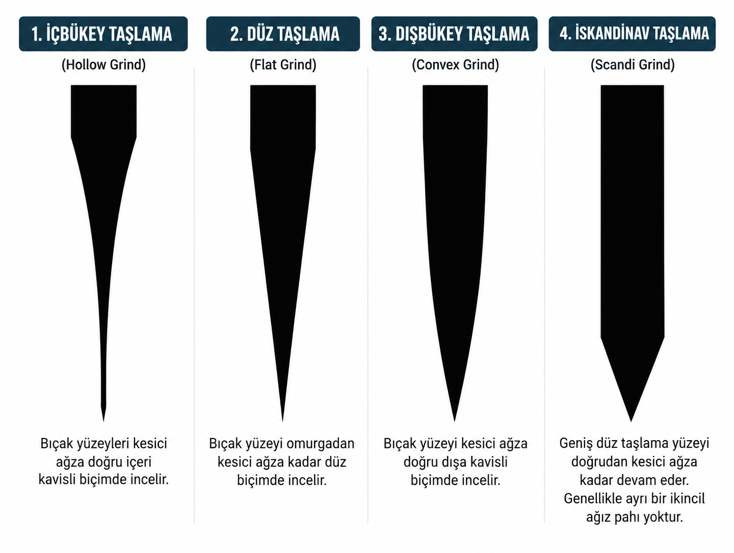 İçbükey, düz, dışbükey ve İskandinav bıçak taşlama geometrilerinin kesit karşılaştırması